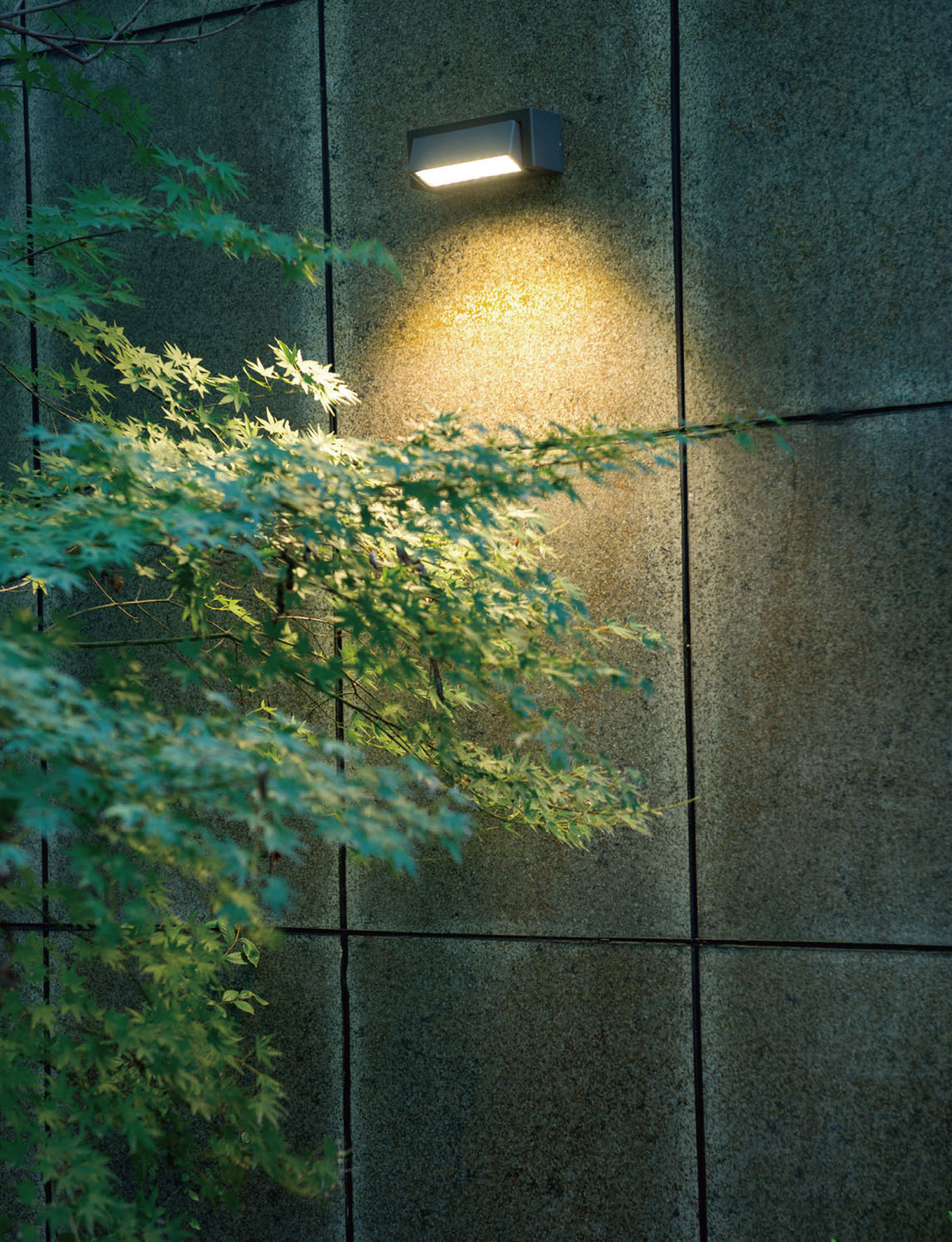 彩合网·(中国游)有限公司官网