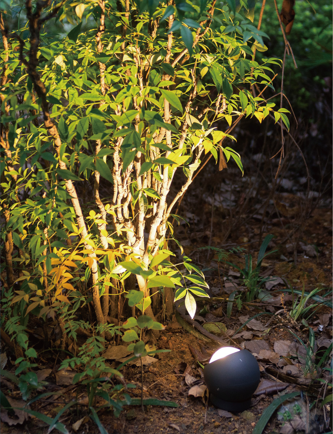 彩合网·(中国游)有限公司官网