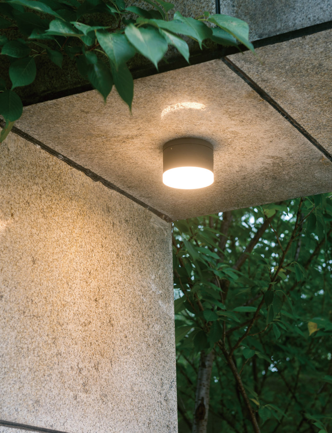 彩合网·(中国游)有限公司官网